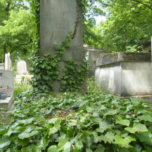 Sépulture de DENNIÉE Antoine © MCP